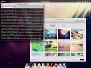 Cinnamon ElementaryOS